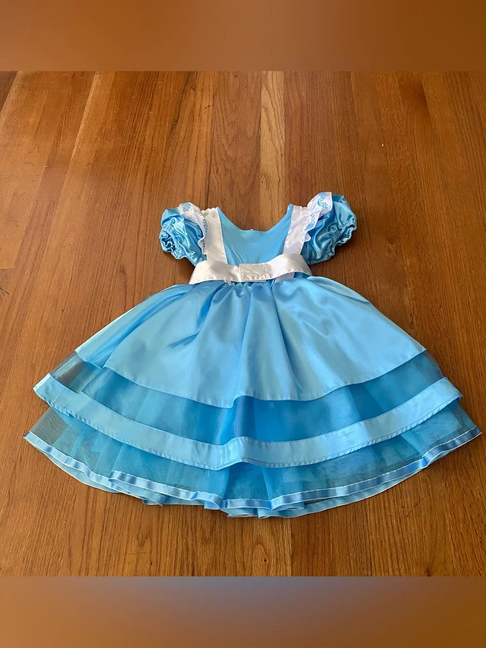 Disney Store Alice in the Wonderland Costume Dress